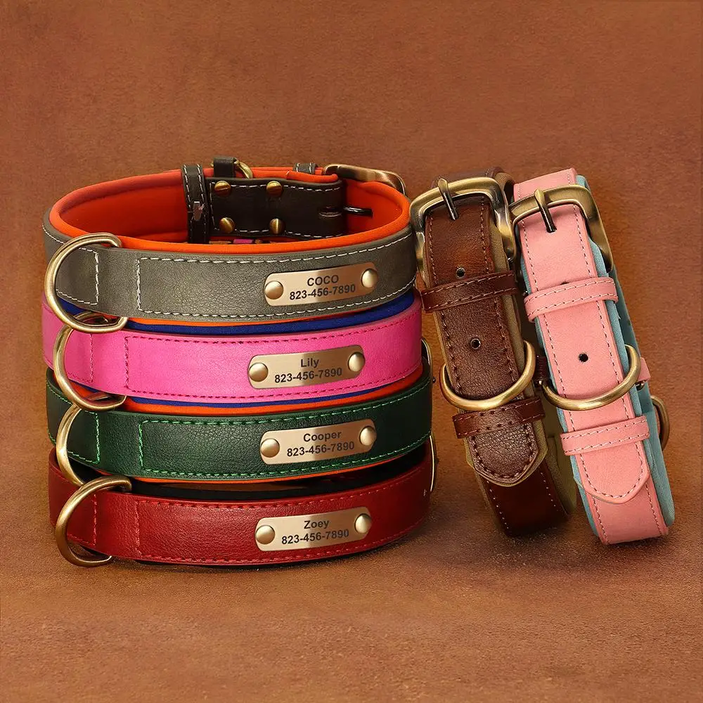 Collar de cuero con placa grabada para perro – Nombre personalizado - imagen 5