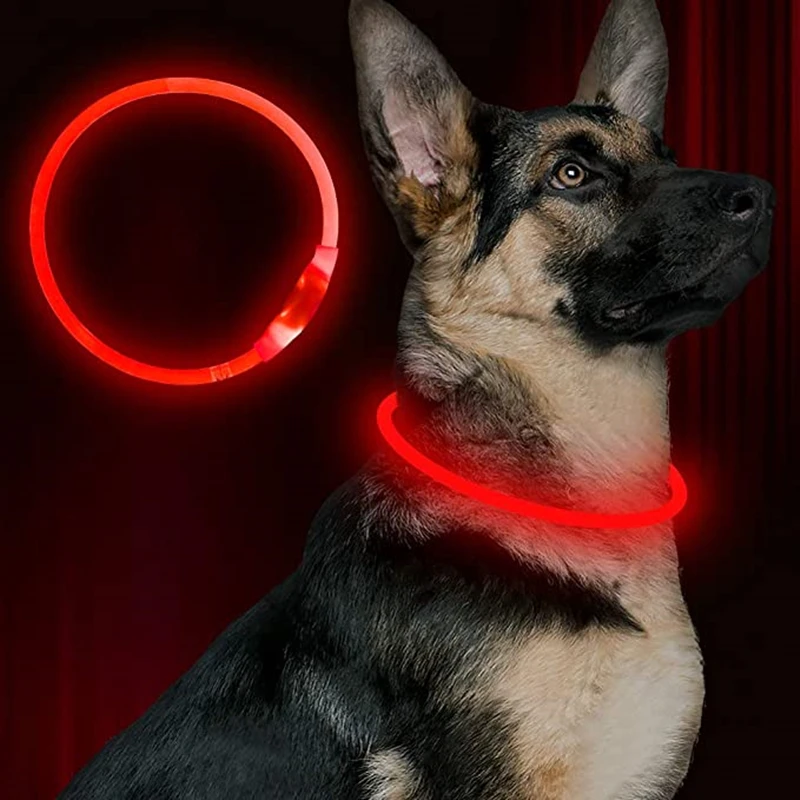 Collar Led Usb para perro, Collar de carga luminosa nocturna para perro, Collar de prevención de pérdida de perro con brillo intermitente de seguridad nocturna, accesorios para mascotas - imagen 2