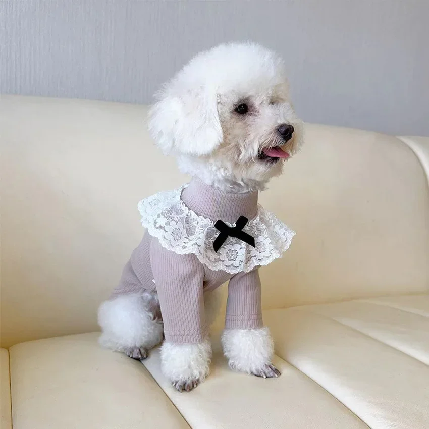 Abrigo Base de cuello alto para perros pequeños, ropa de dos patas de encaje para mascotas, ropa de oso de peluche para perros pequeños, abrigo Base cálido, otoño e invierno - imagen 4