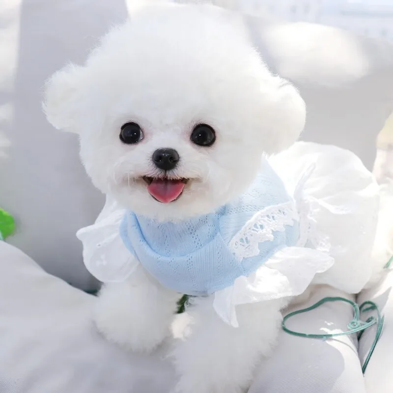 Vestido de primavera/verano para mascotas, chaleco con mangas de encaje, vestido de princesa con oso de peluche para perros pequeños, chaleco para cachorros, ropa para perros pequeños - imagen 3