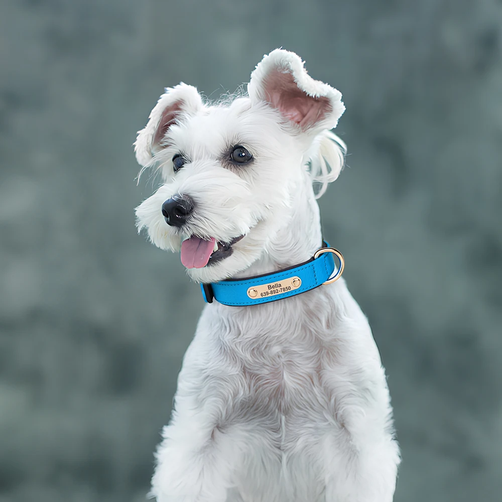 Collar de nailon personalizado para perro, accesorio impermeable con placa de identificación grabada gratis para perros pequeños y medianos, Chihuahua - imagen 5