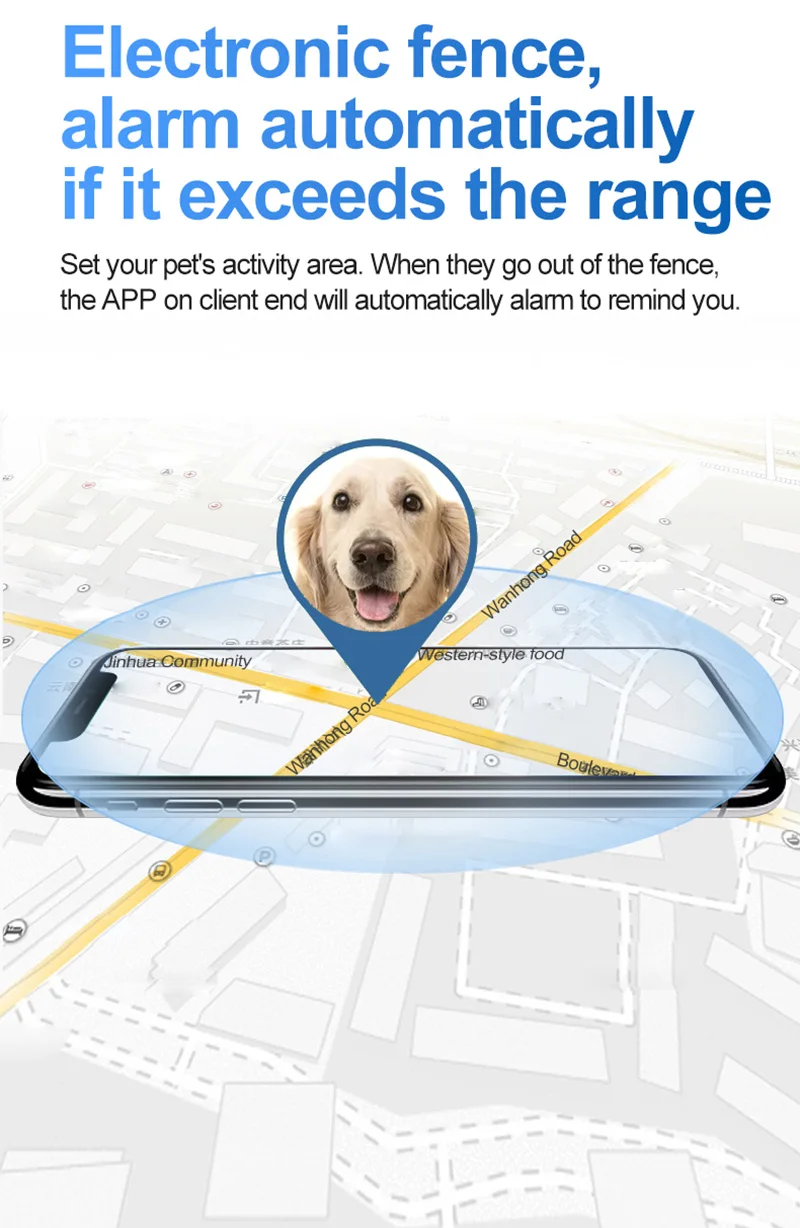 Un perro está en un mapa con teléfono celular