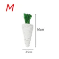 Radish M