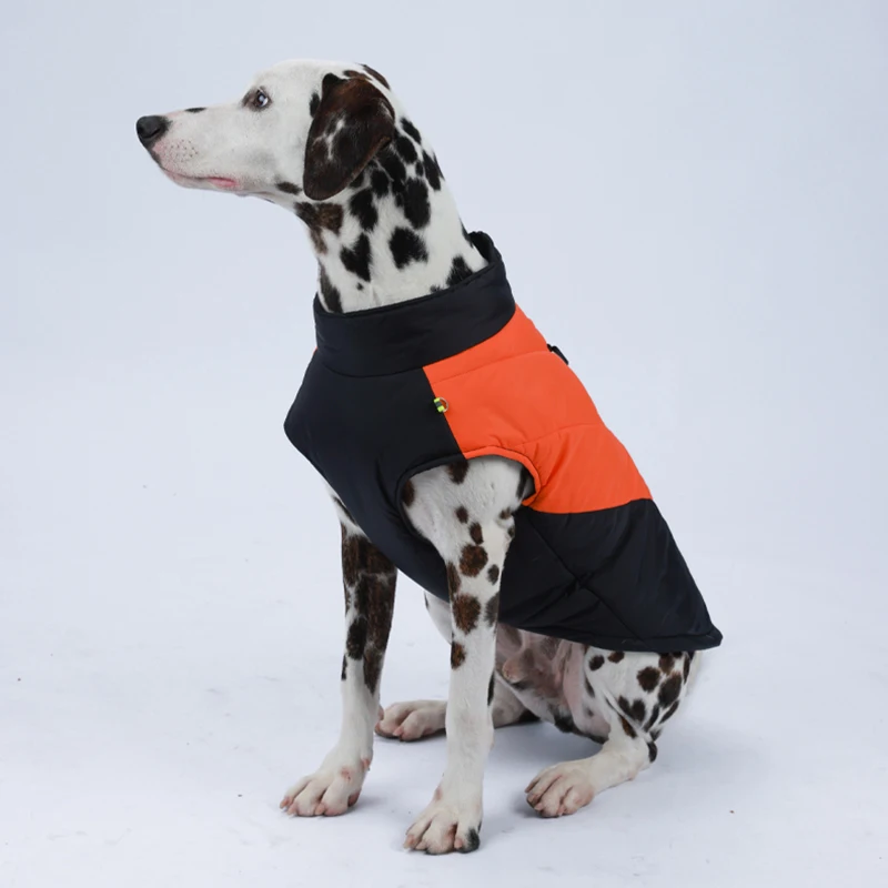 Cuidados y mantenimiento - Limpieza y almacenamiento