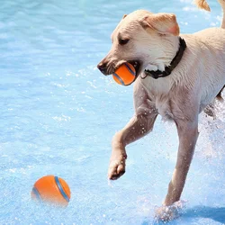 Pelota de goma hinchable para perros – Resistente a masticar y perfecta para lanzar