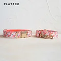 Dog Collar Leash Set