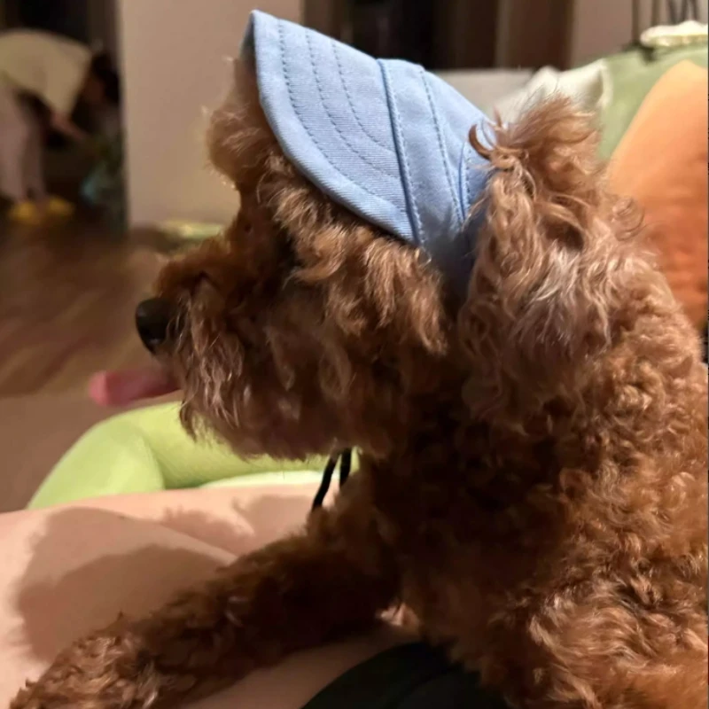 Sombrero para el sol para perros con orificios para las orejas, gorra de béisbol para mascotas para protección solar, visera de viaje al aire libre para mascotas lindas, accesorio deportivo de verano - imagen 5