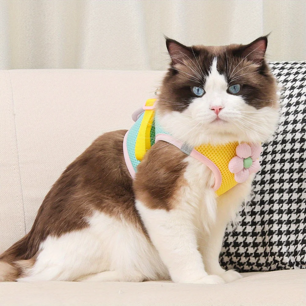 Arnés y correa para perros y gatos, correas de pecho para mascotas de malla transpirable para gatos, cachorros, plomo para caminar, Ragdoll, Chihuahua, chaleco, arnés, Bulldog - imagen 4