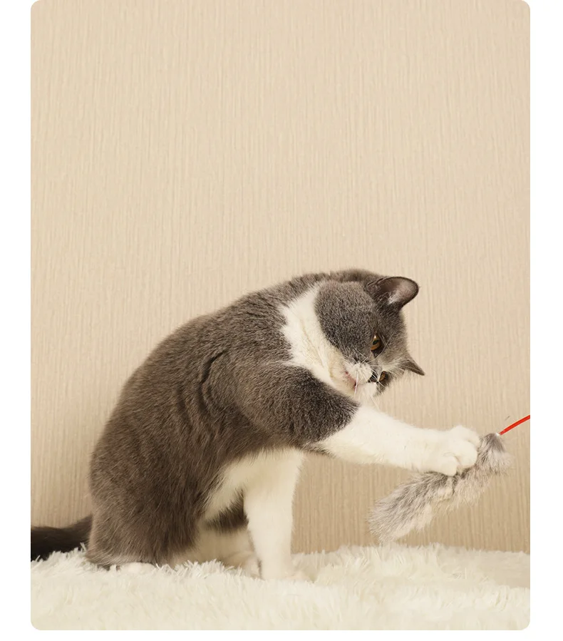 OUZEY-Juguete interactivo de plumas suaves para gatos, felpa, divertido, palo, juego en interiores, entrenamiento, juguetes para gatitos, productos para mascotas - imagen 5