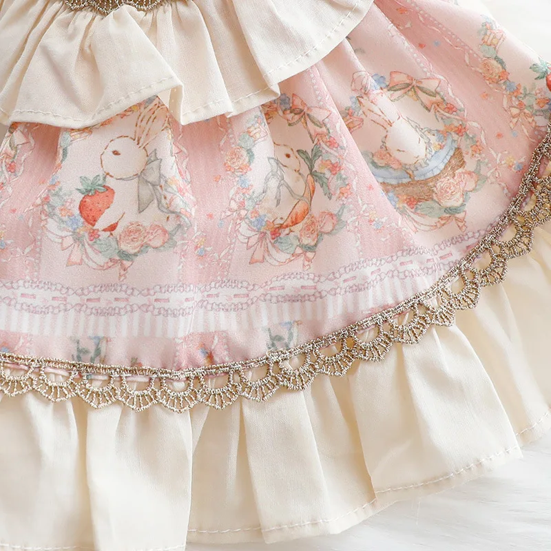 Vestido de encaje para perro, ropa de diseño para gato, Princesa, conejo, perro pequeño, peluche, cachorro - imagen 3