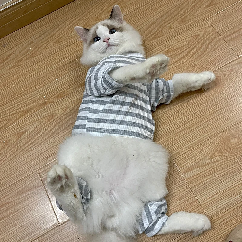 Mono de algodón suave para perros y gatos, pijamas para gatos, monos Gotas Katten, ropa para cachorros Sphynx Kedi mascotas, disfraz ubranko dla kota - imagen 4