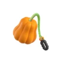Pumpkin with Rope