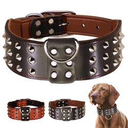 Collar antimordeduras de cuero con pinchos para Rottweiler y Pitbull – Protector