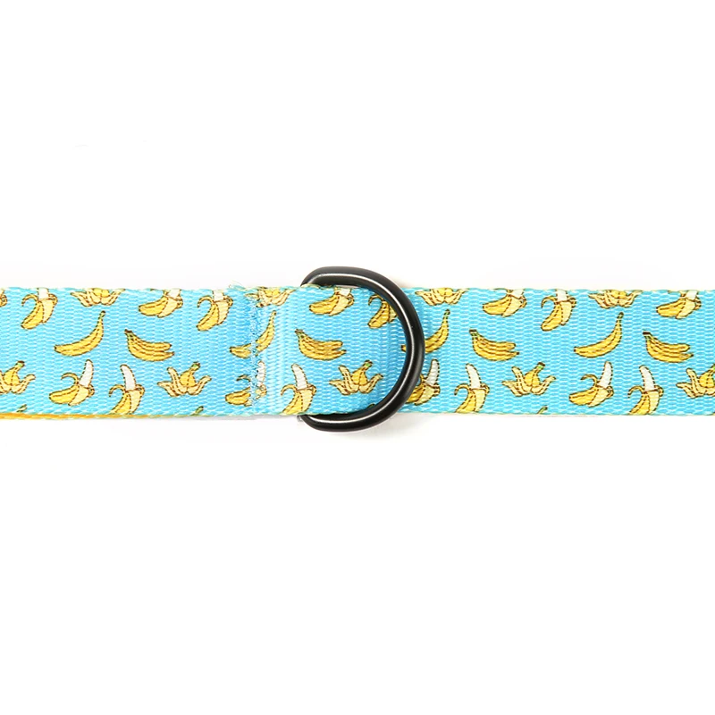 PLATTCO Correa para perro de diseño único BANCING BANANA conveniente para caminar al perro accesorio para perros pequeños, medianos y grandes 5 tamaños PDL327 - imagen 3