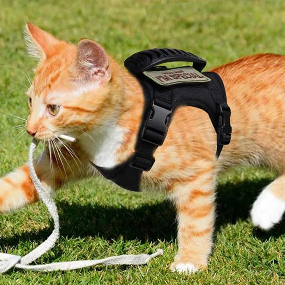 Conjunto de arnés y correa para gatos tácticos a prueba de Escape, arnés de chaleco ajustable con parches para perros pequeños y gatos, caminar y entrenar - imagen 4