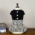 Leopardo