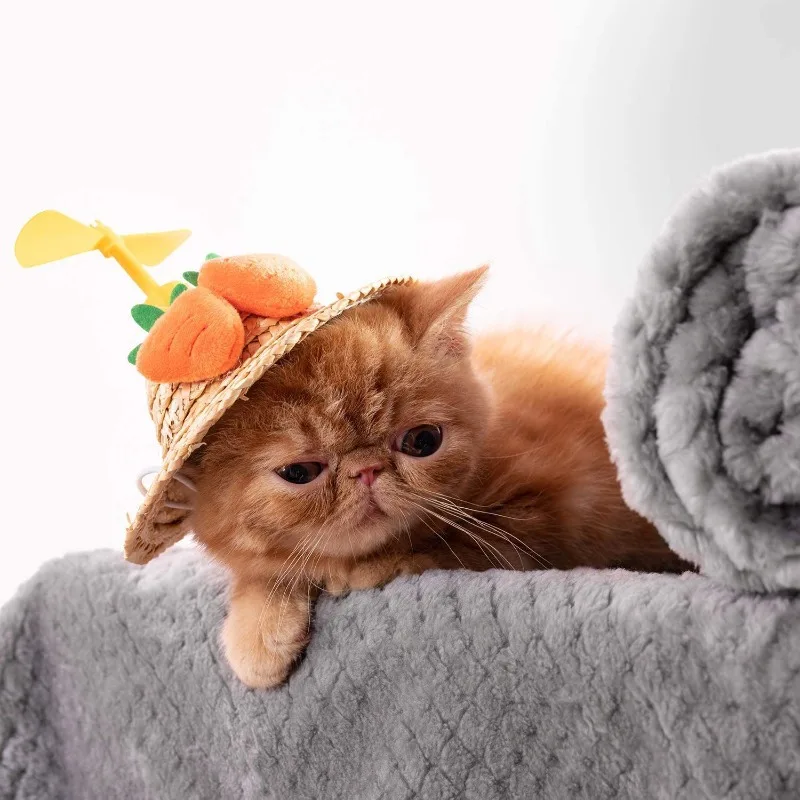 Estera portátil para mascotas, almohadilla plegable para perros y gatos, antideslizante, antiarañazos, ligera, fácil de limpiar - imagen 4