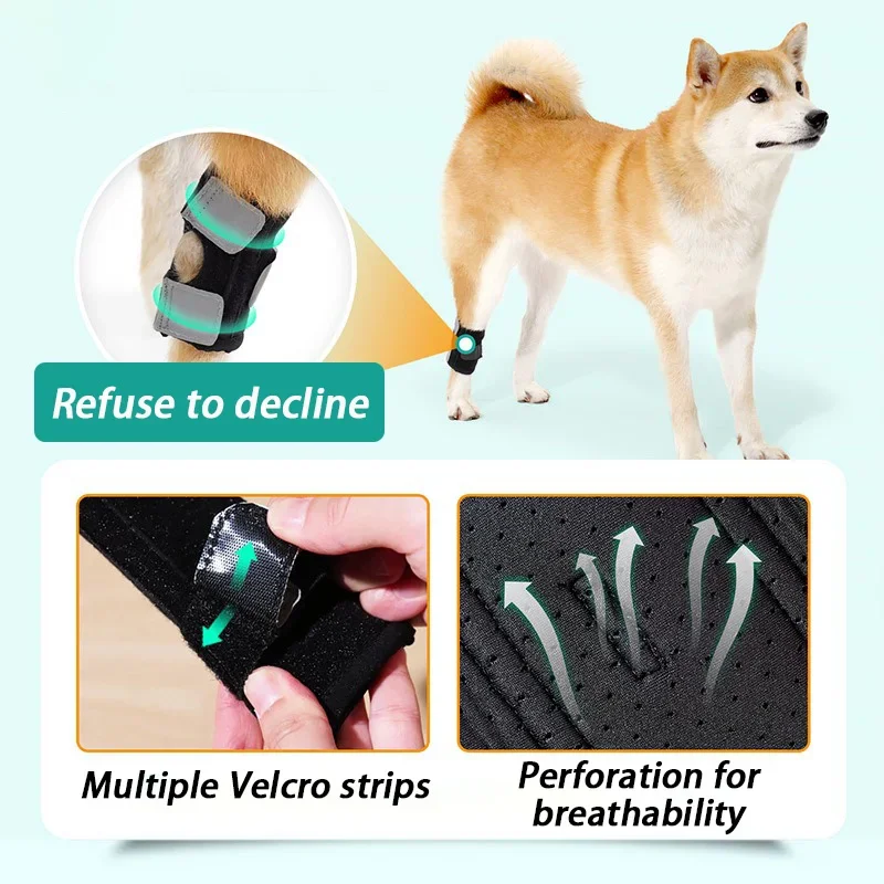 Rodilleras para perros mayores, soporte asistido, rodillera para ejercicio, cubierta de protección para piernas traseras, productos de rodillera de seguridad para perros, suministros para mascotas - imagen 4