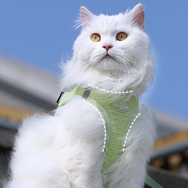 HOOPET-Correa de gato para caminar, correa de pecho para perros pequeños, suministros para cachorros, antideslizante, para salida de mascotas - imagen 2