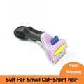 Cat S-short hair