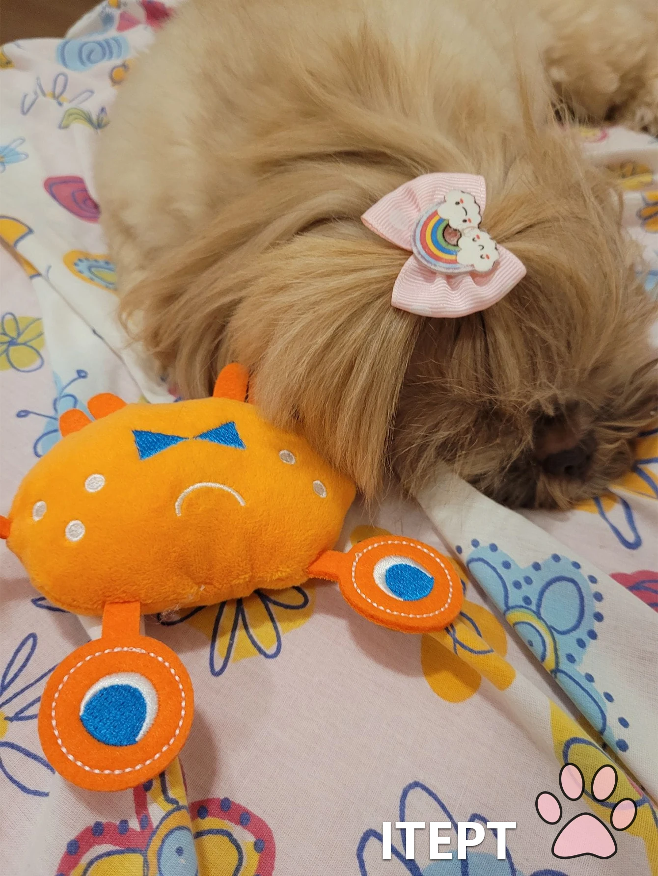 Juguete mordedor para perros en forma de cangrejo - denticion y juego - imagen 3