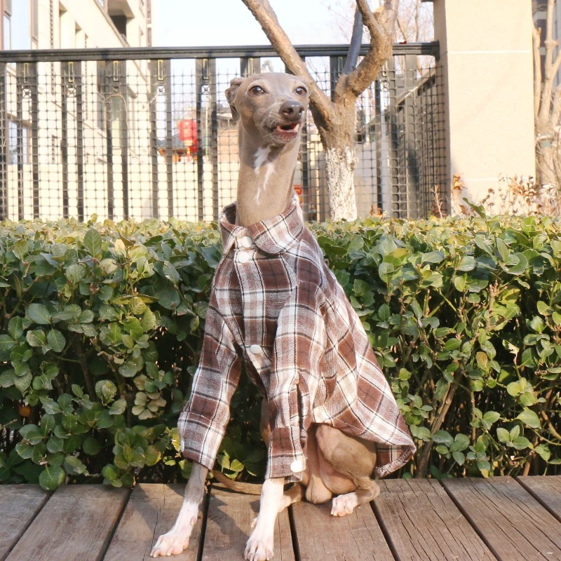 Camisa a cuadros para perros y mascotas, ropa de rejilla para perros grandes, ropa de algodón para primavera, ropa para cachorros pequeños y grandes, productos de disfraces para mascotas al aire libre a la moda - imagen 3