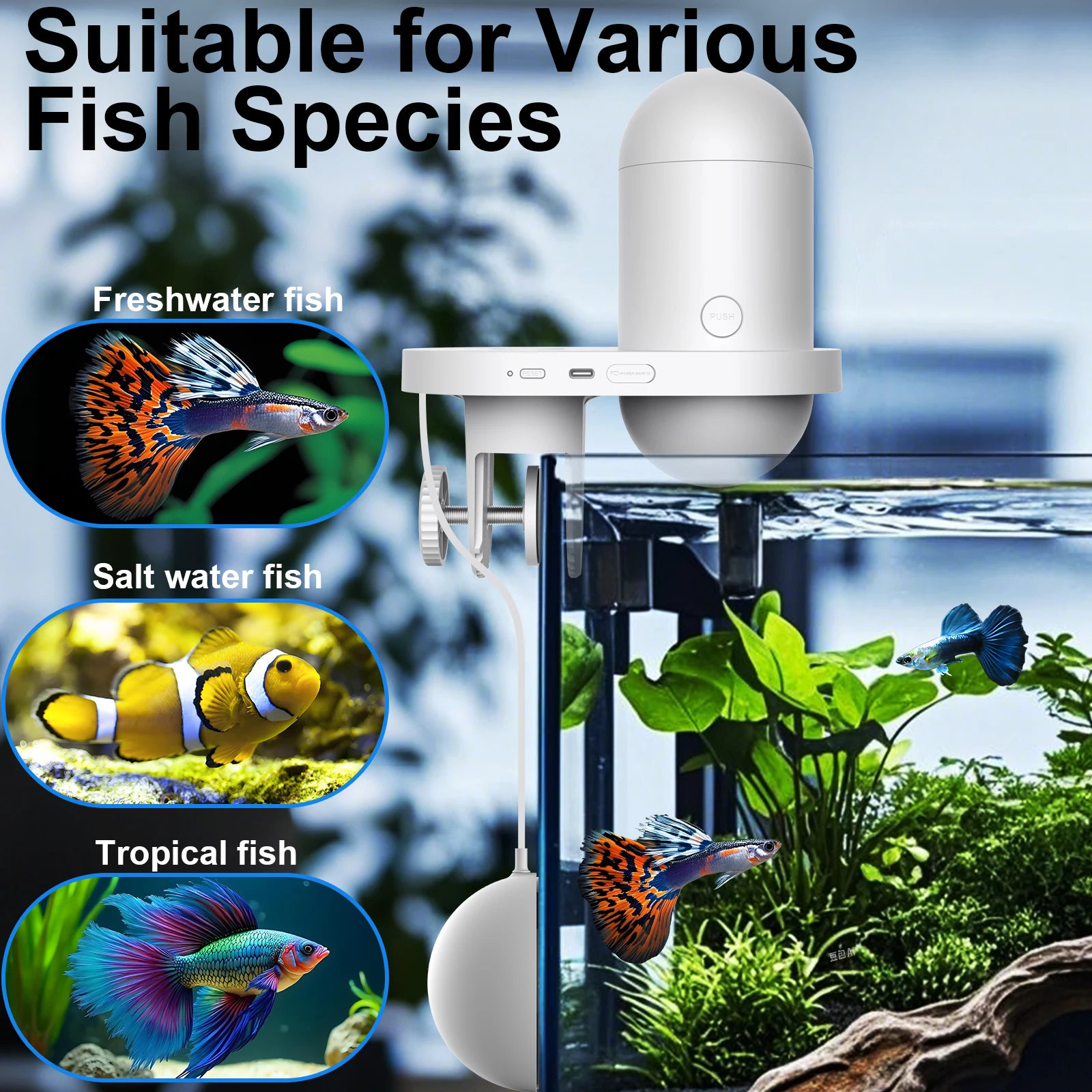 Alimentador automático de peces con cámara, tanque Visual, dispensador de alimentos, sincronización cuantitativa, aplicación Wifi inteligente para acuario, carga USB - imagen 4