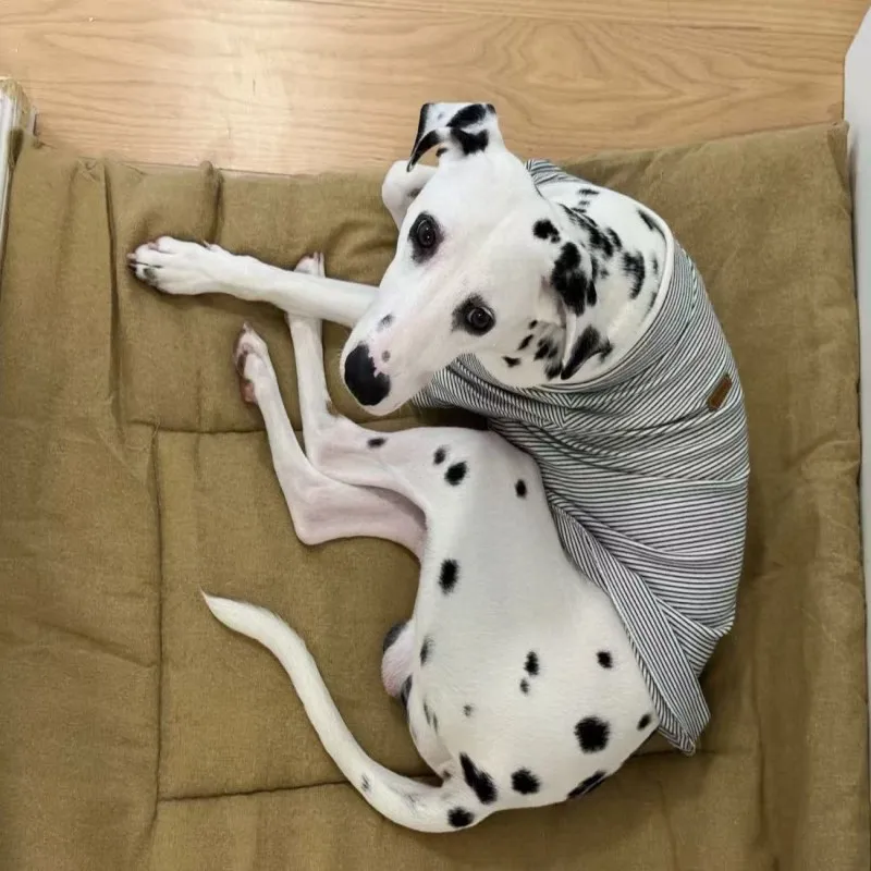 Camas para perros y mascotas, sofá cama Extra grande para perros, cama para gatos, estera de lino y algodón para las cuatro estaciones, cojín para mascotas resistente al desgaste y a los arañazos, estera para gatos - imagen 2