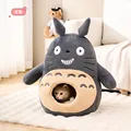 Chinchilla
