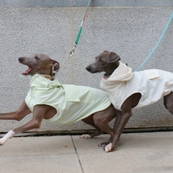 Chaleco impermeable con protección solar para galgo italiano