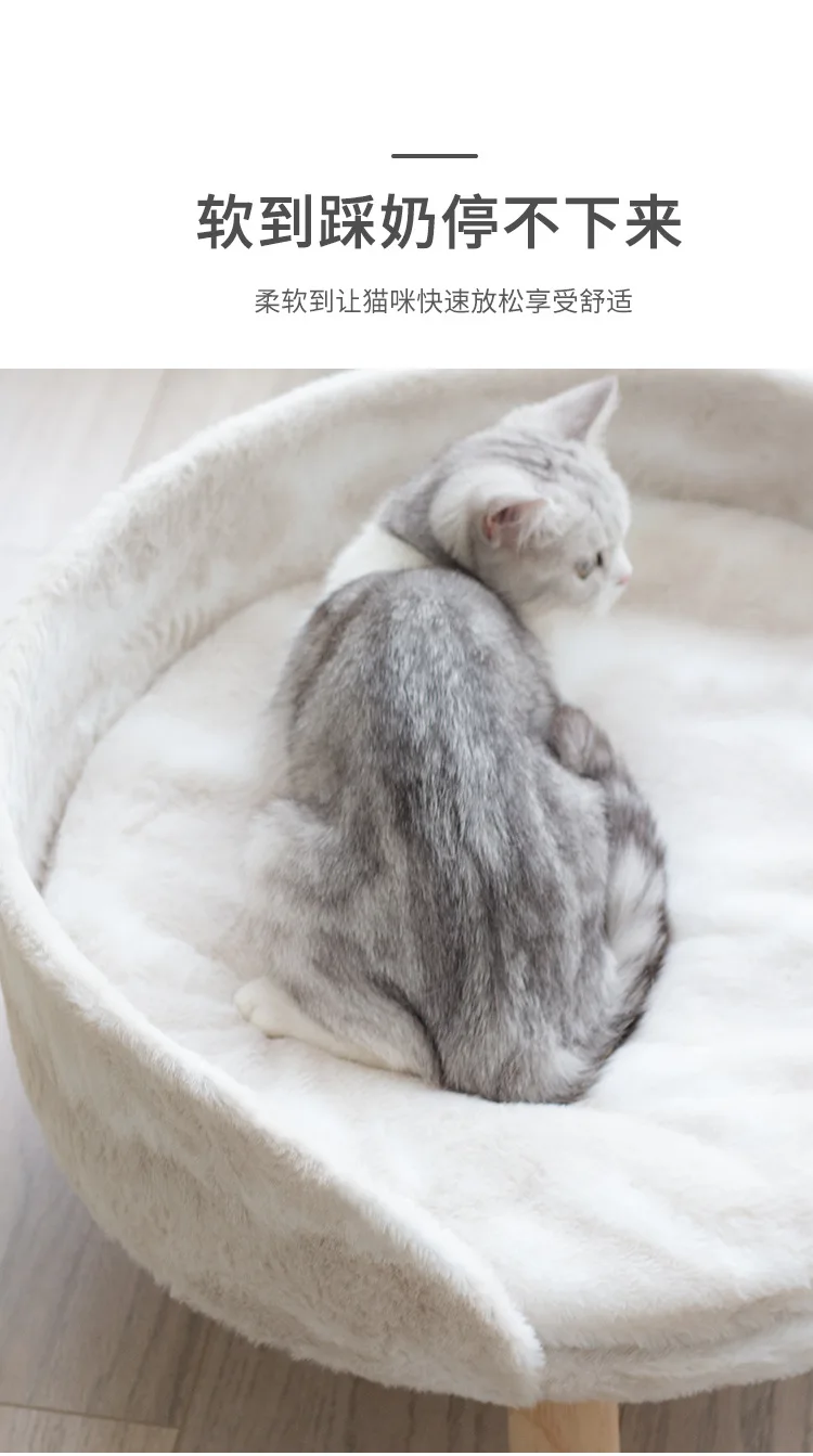 Couch cat litter _05