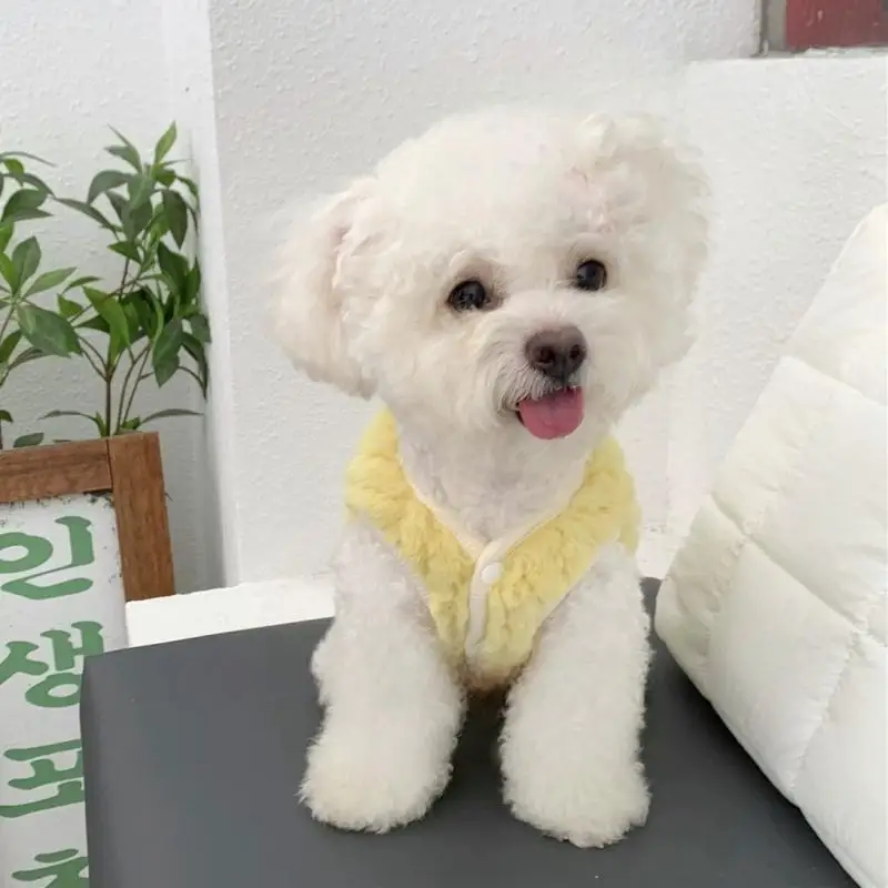 Abrigo cárdigan cálido de invierno para perros, ropa suave de felpa para perros, chaqueta lisa bonita para cachorros, chaqueta con capucha para gatos a la moda, chaleco para mascotas, trajes para perros