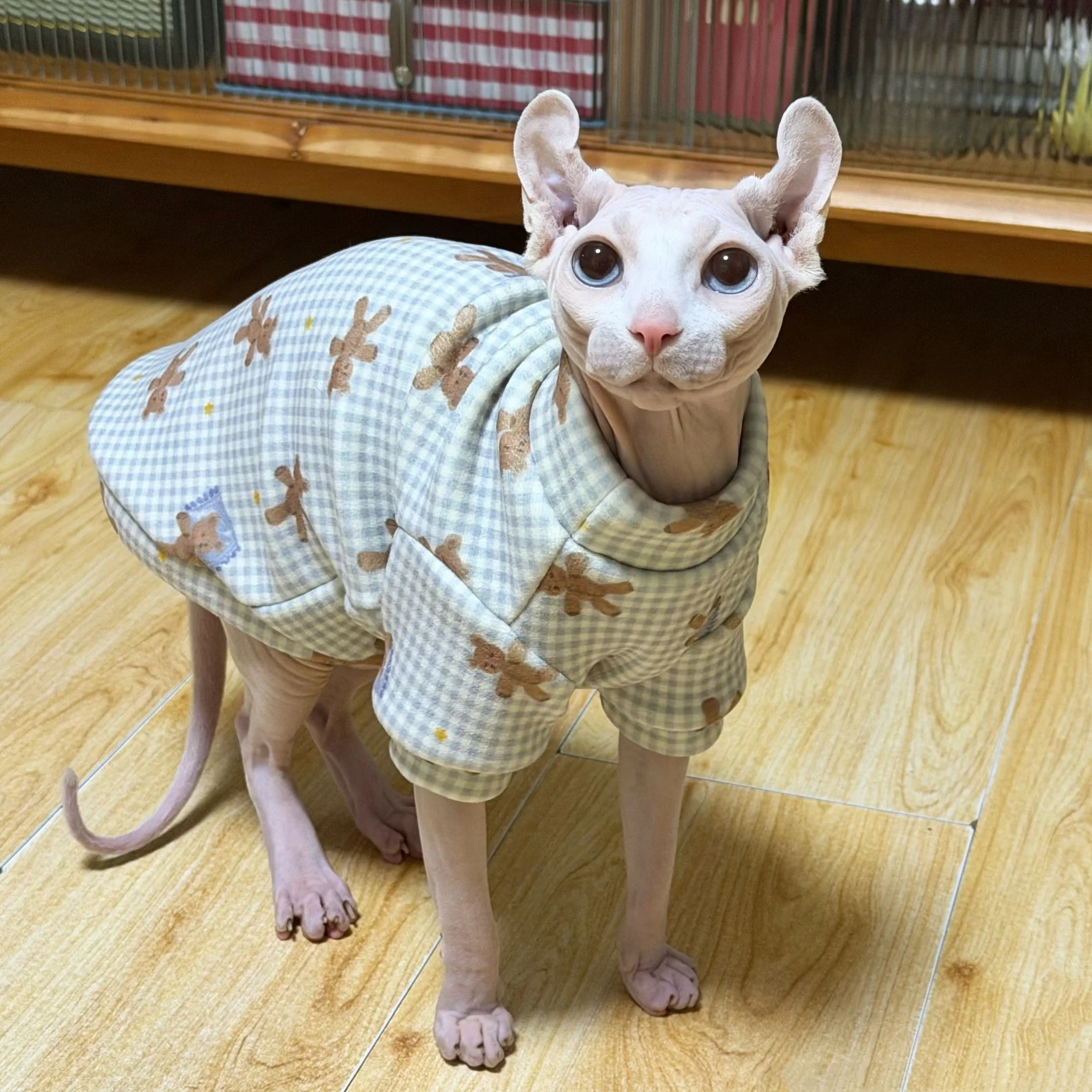 Abrigo de lana para gato Sphynx – Cálido y suave para gato sin pelo - imagen 2