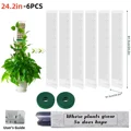 24in 6Pcs-Moss Pole
