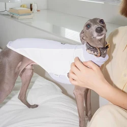 Mono solar UPF50+ para perros pequeños galgo italiano y whippet