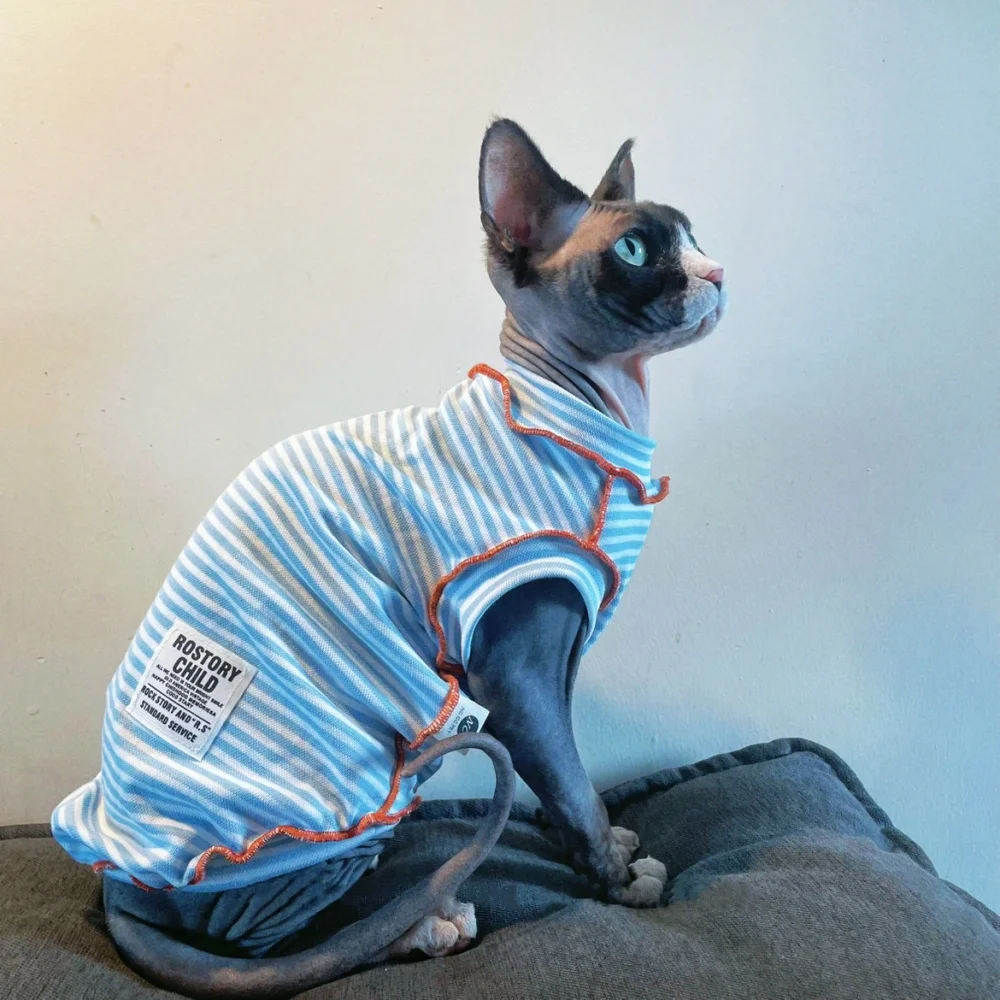 Camiseta de manga corta a rayas azules para gatos machos en primavera Mono de algodón dulce de verano para Devon Rex Chaleco de verano para gato Sphynx - imagen 5