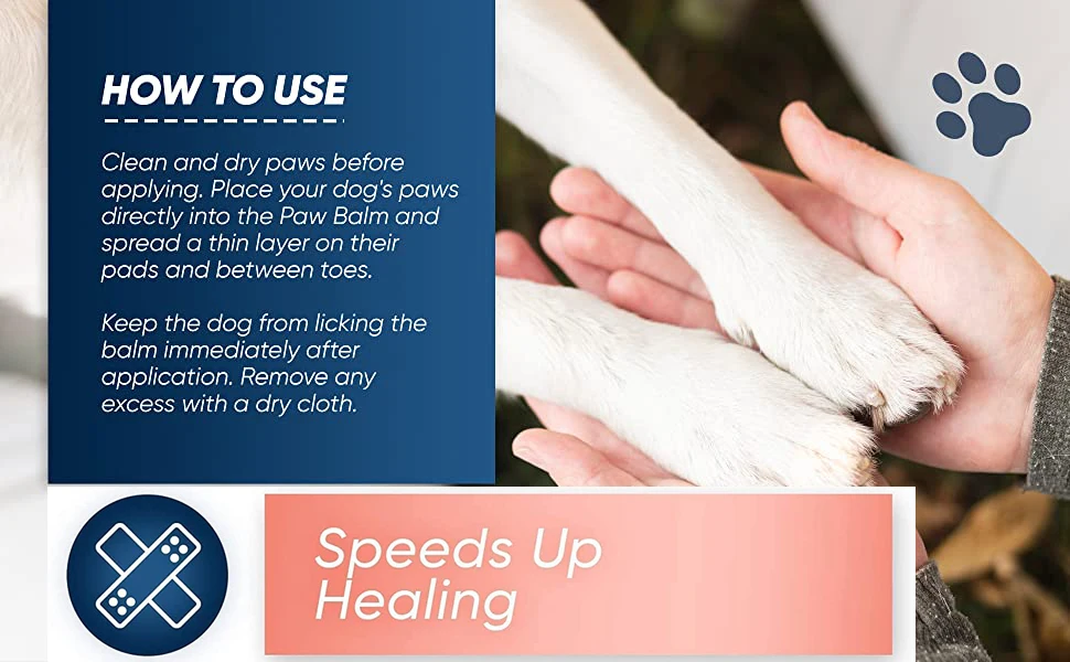 paw balm dogs