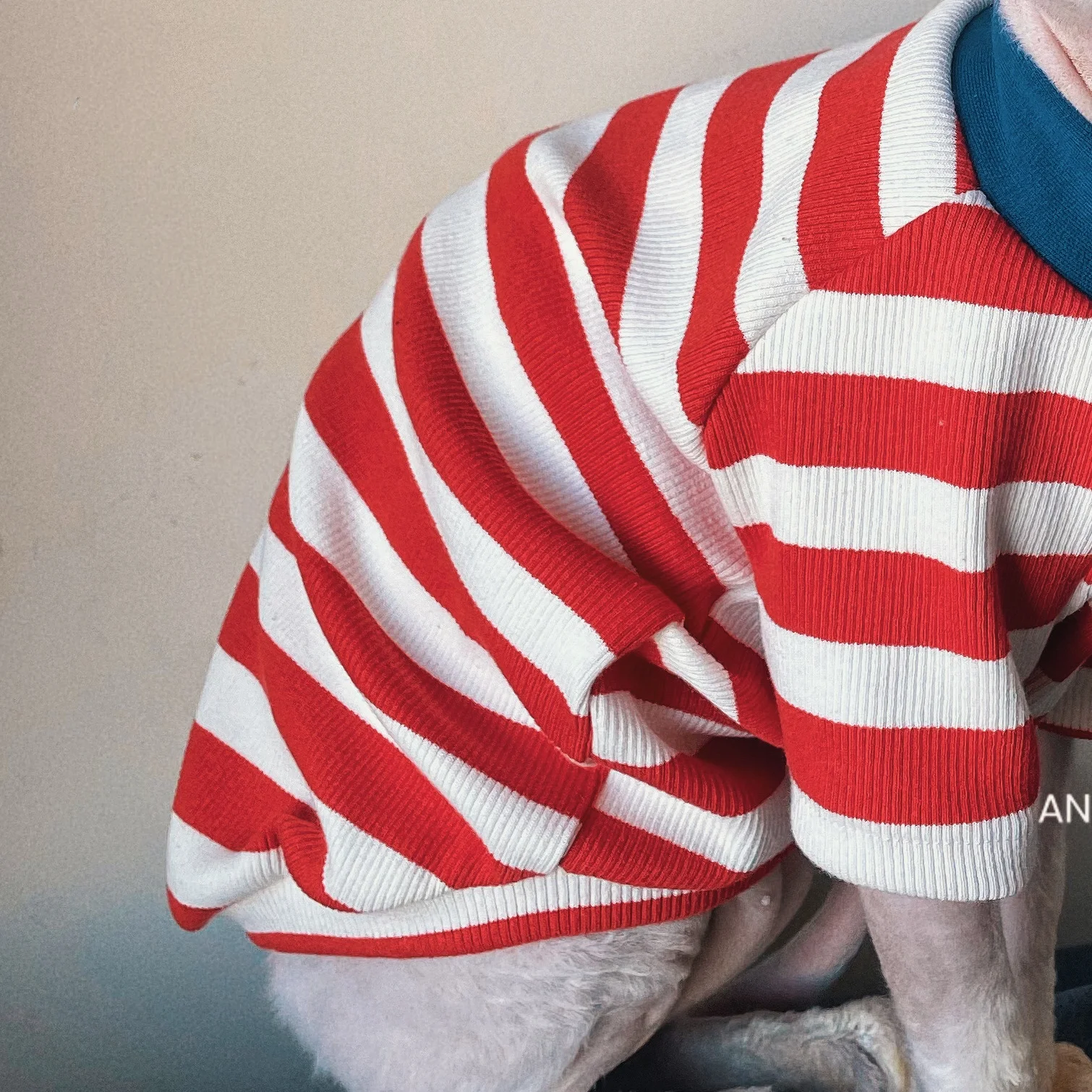 Camiseta de algodón a rayas de otoño para gato sin pelo, abrigo rojo suave y cálido de manga larga para pijamas de primavera Sphynx Cat para Devon Rex - imagen 5