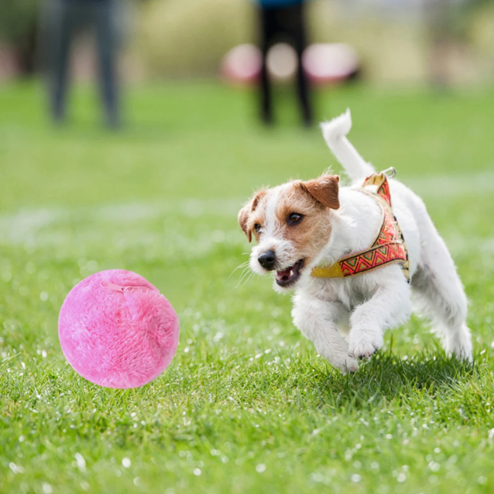 Juguete interactivo automático para gatos – Pelota activadora eléctrica - imagen 5