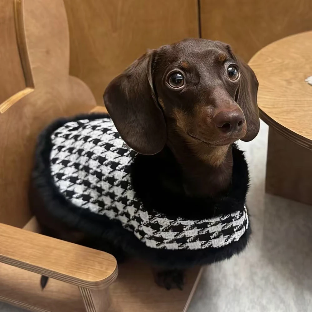 Abrigo invierno perro mini pata de gallo blanco y negro con sombrero - imagen 3