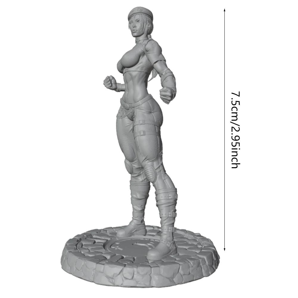 Kit de modelismo 75mm para pintar – Figura luchadora 1/24 - imagen 2