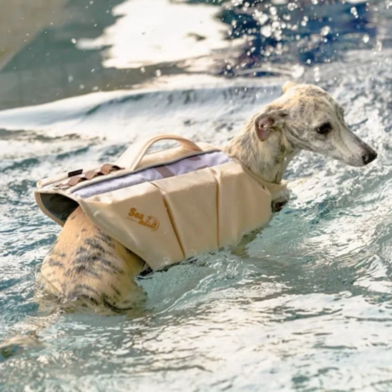 Chaleco salvavidas de verano para mascotas, ropa de alta flotabilidad, traje de baño para mascotas al aire libre, chaleco de seguridad para surf, accesorio antivaho para perros junto al mar - imagen 4
