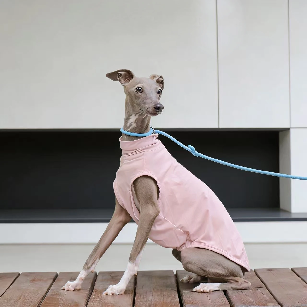 Chaleco rosa veraniego Galgo Italiano Whippet – Fresco perros pequeños - imagen 2
