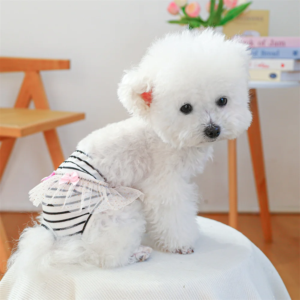 Pantalones de pañales fisiológicos para perros pequeños, pantalones cortos pelados para mascotas con almohadillas protectoras de pasta para Chihuahua Yorkshire, perros femeninos - imagen 3