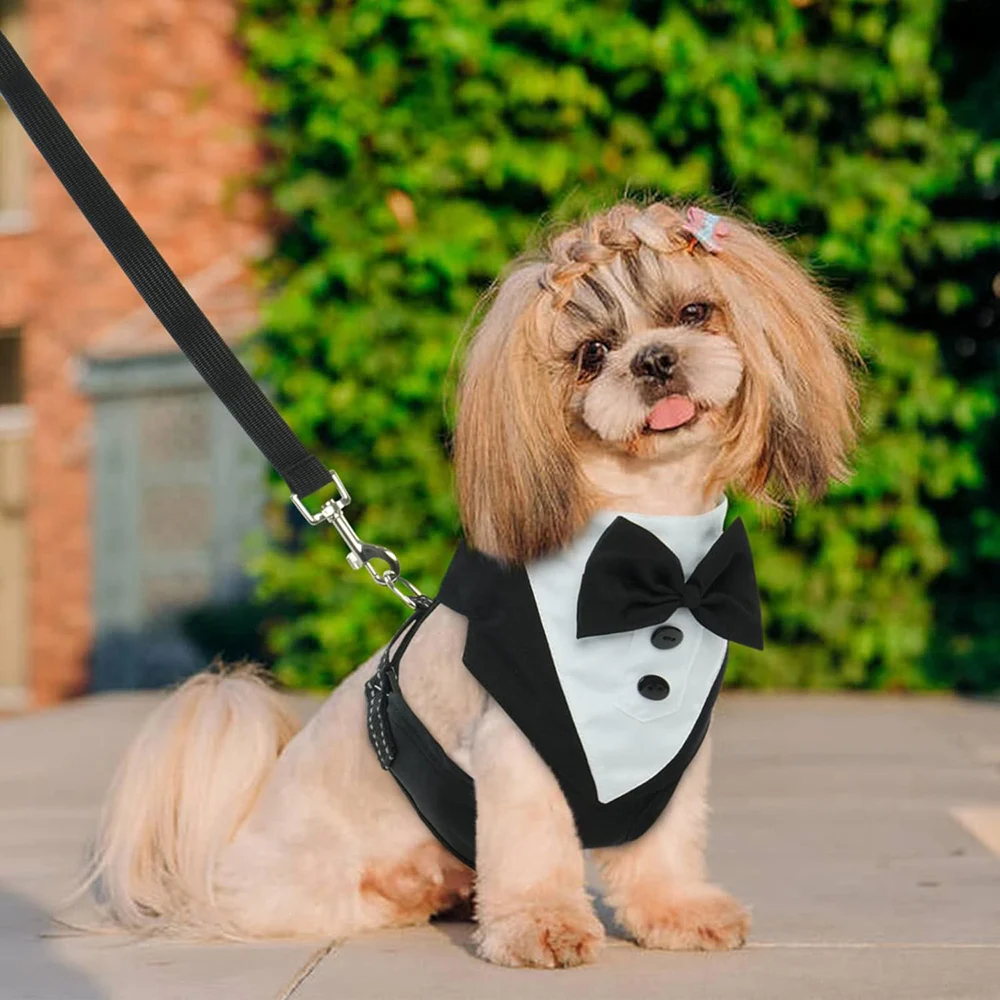Arnés de esmoquin formal para perros pequeños y medianos para bodas - imagen 5