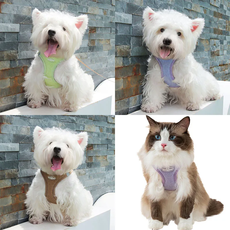 Arnés y correa para perros pequeños y medianos, chaleco para mascotas, ropa, arnés de Yorkshire, Collar, faja transpirable, correa para el pecho para perros - imagen 3