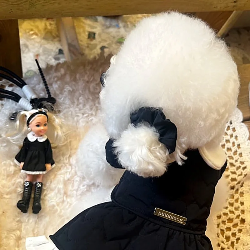 Vestido de Navidad para mascotas a la moda, abrigo de felpa de otoño e invierno, abrigo de lana a cuadros rojo, ropa para perros pequeños, ropa para cachorros