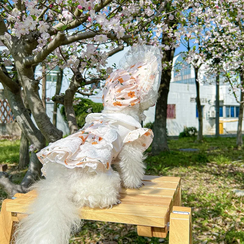 Vestido floral verano con lazo perros Chihuahua Bichón sombrero gatos - imagen 5