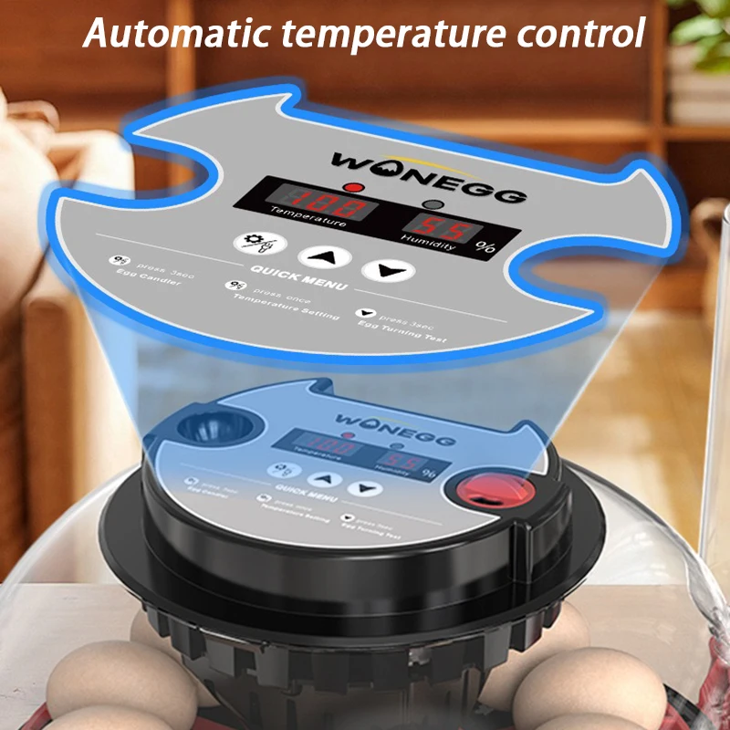 Incubadora automática para 12 huevos con LED y tapa transparente - imagen 2