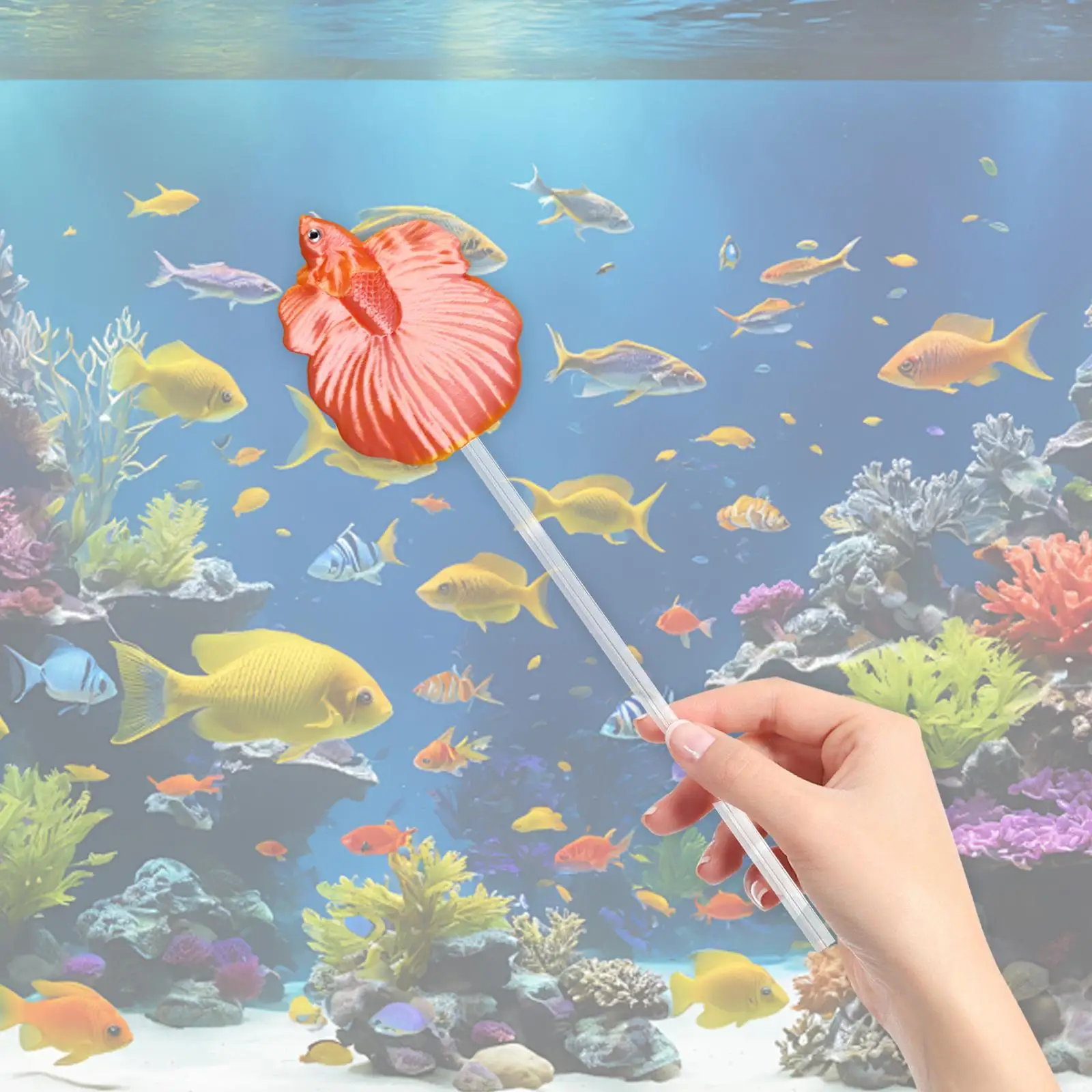 Betta Fish Training Wand, Interactive ,Aquarium Decoration,Tail Training Stick, Aquariums Wand, Betta Fish Training Wand, Interactive ,Aquarium Decoration,Tail Training Stick, Aquariums Wand,
